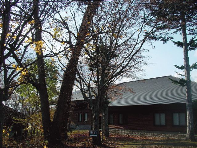 gt