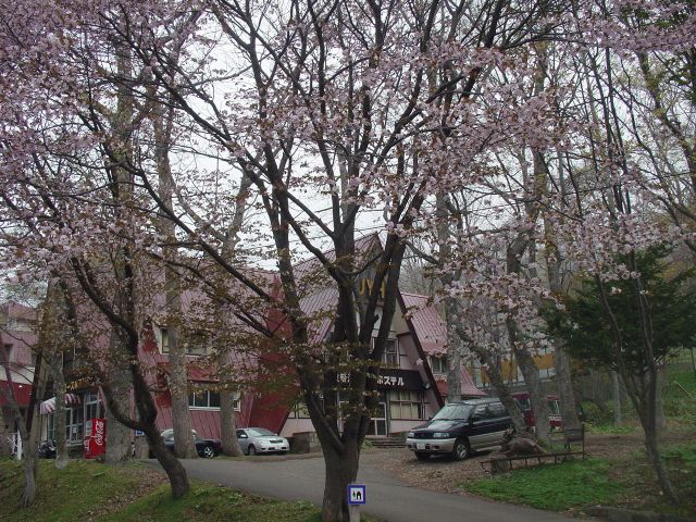 �T�N��
